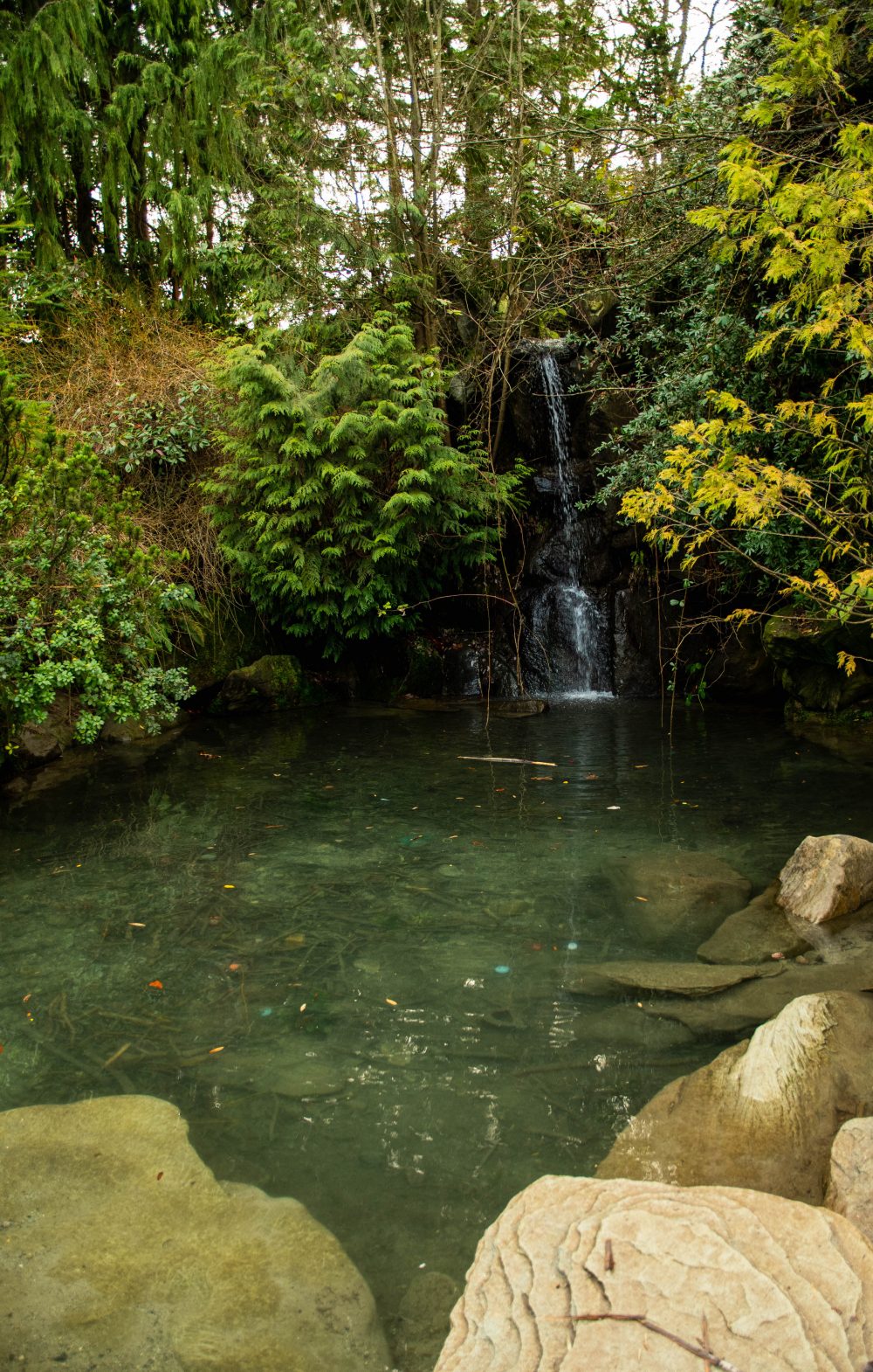 A waterfall in Charleson Park, located next to the False Creek South Co-op