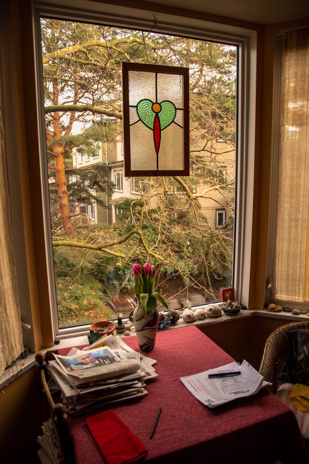 A kitchen window in the co-op